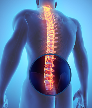 Lumbar Spine