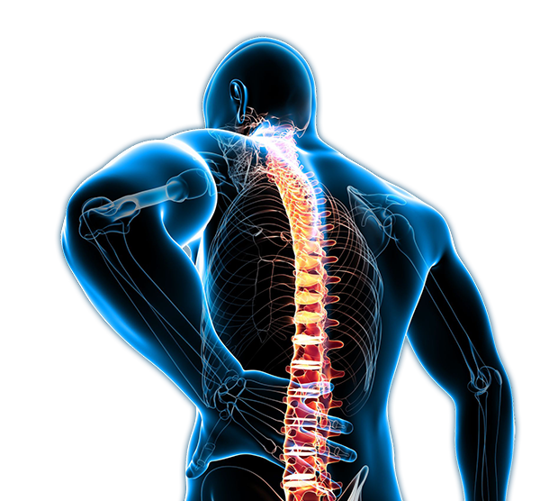 Back and Knee Pain